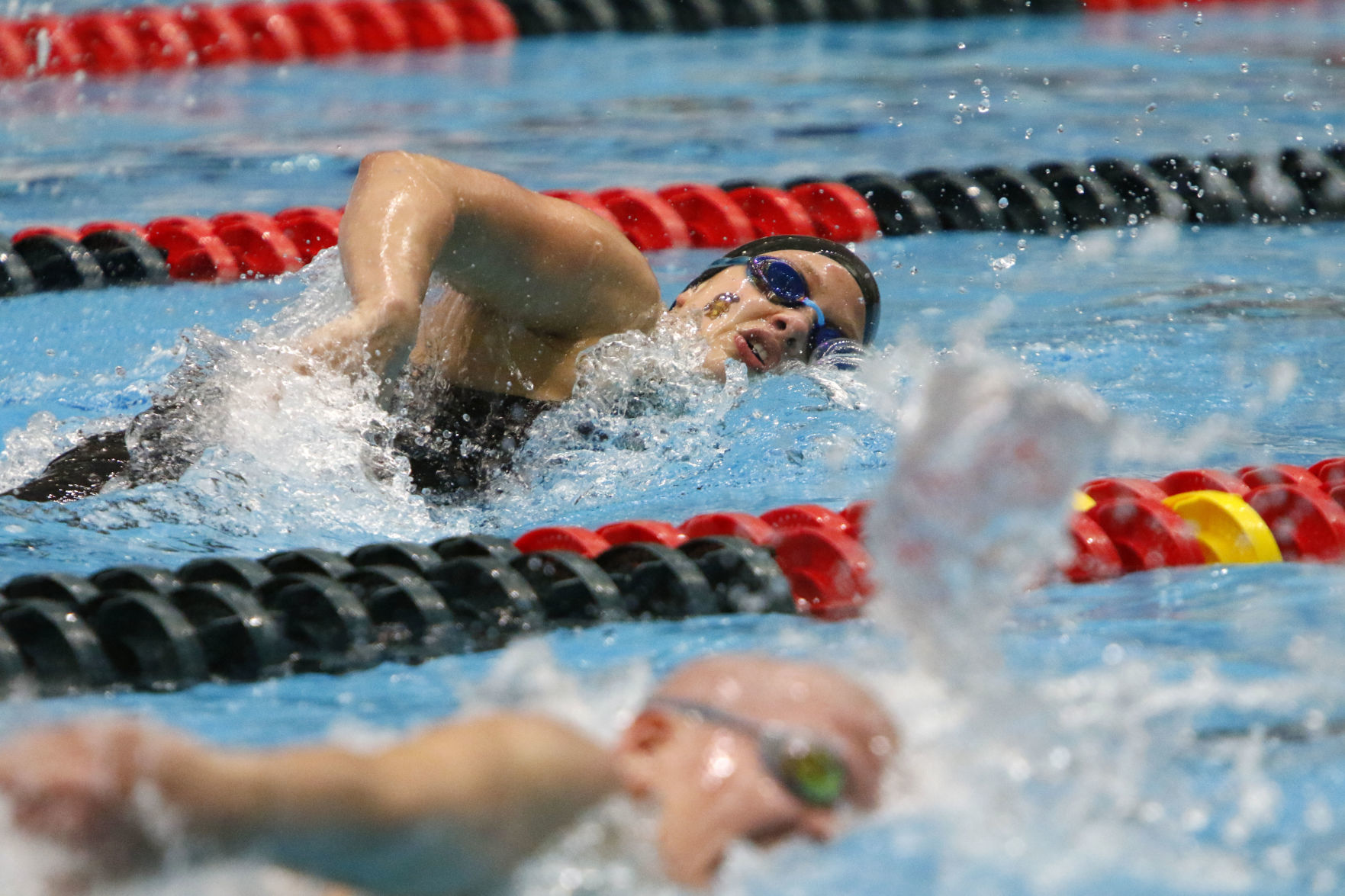Gallery: Girls state swimming finals in Indianapolis
